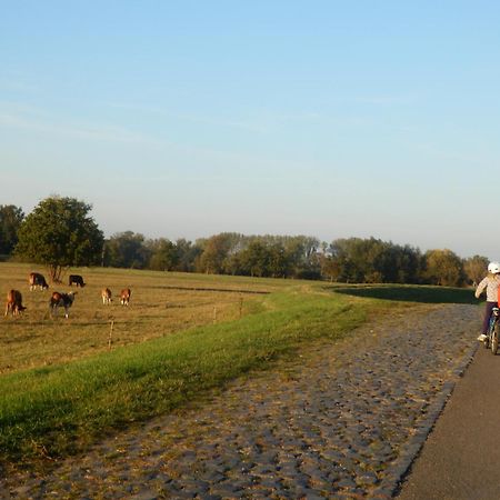 Ferienhof Gruene Kuh Elsteraue Extérieur photo