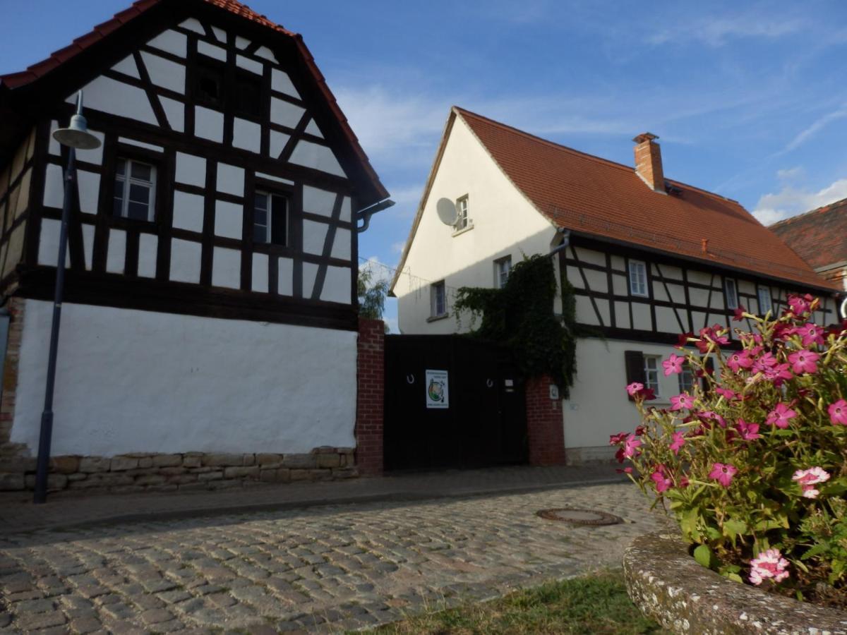 Ferienhof Gruene Kuh Elsteraue Extérieur photo