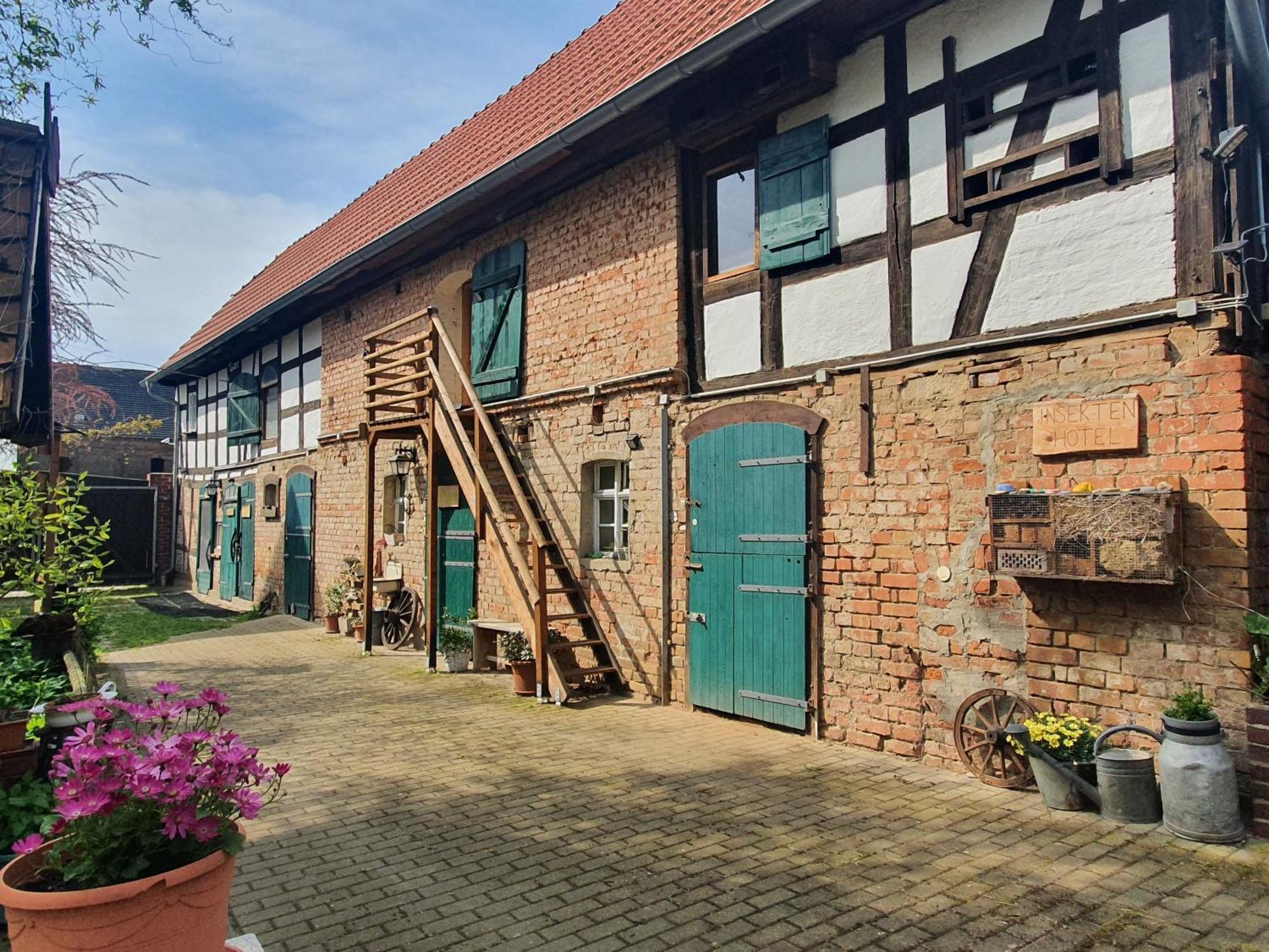 Ferienhof Gruene Kuh Elsteraue Extérieur photo