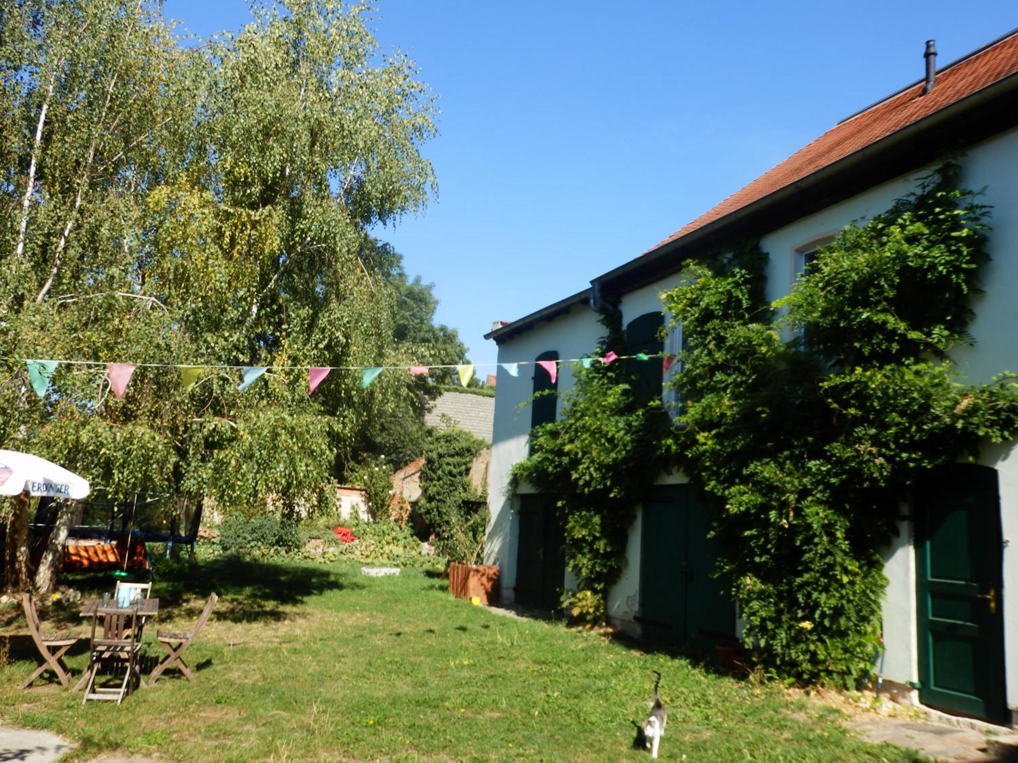 Ferienhof Gruene Kuh Elsteraue Extérieur photo