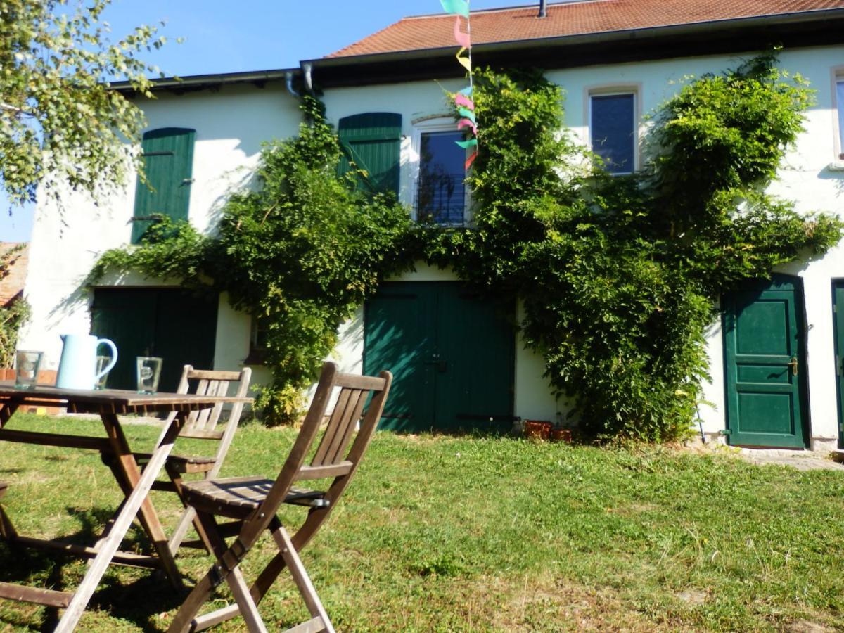 Ferienhof Gruene Kuh Elsteraue Extérieur photo